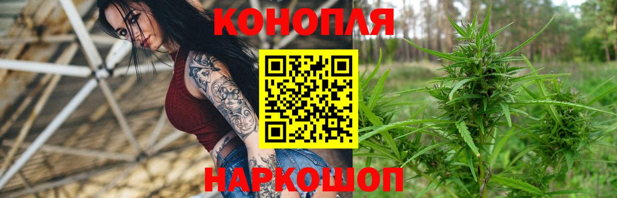 Бошки марихуана тримм  Конопля THC 21%  Вход с VPN  Конопля план  Сызрань 
